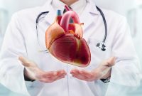 چکاب قلب و عروق را جدی بگیرید: نشانه‌­های اولیه حمله قلبی!