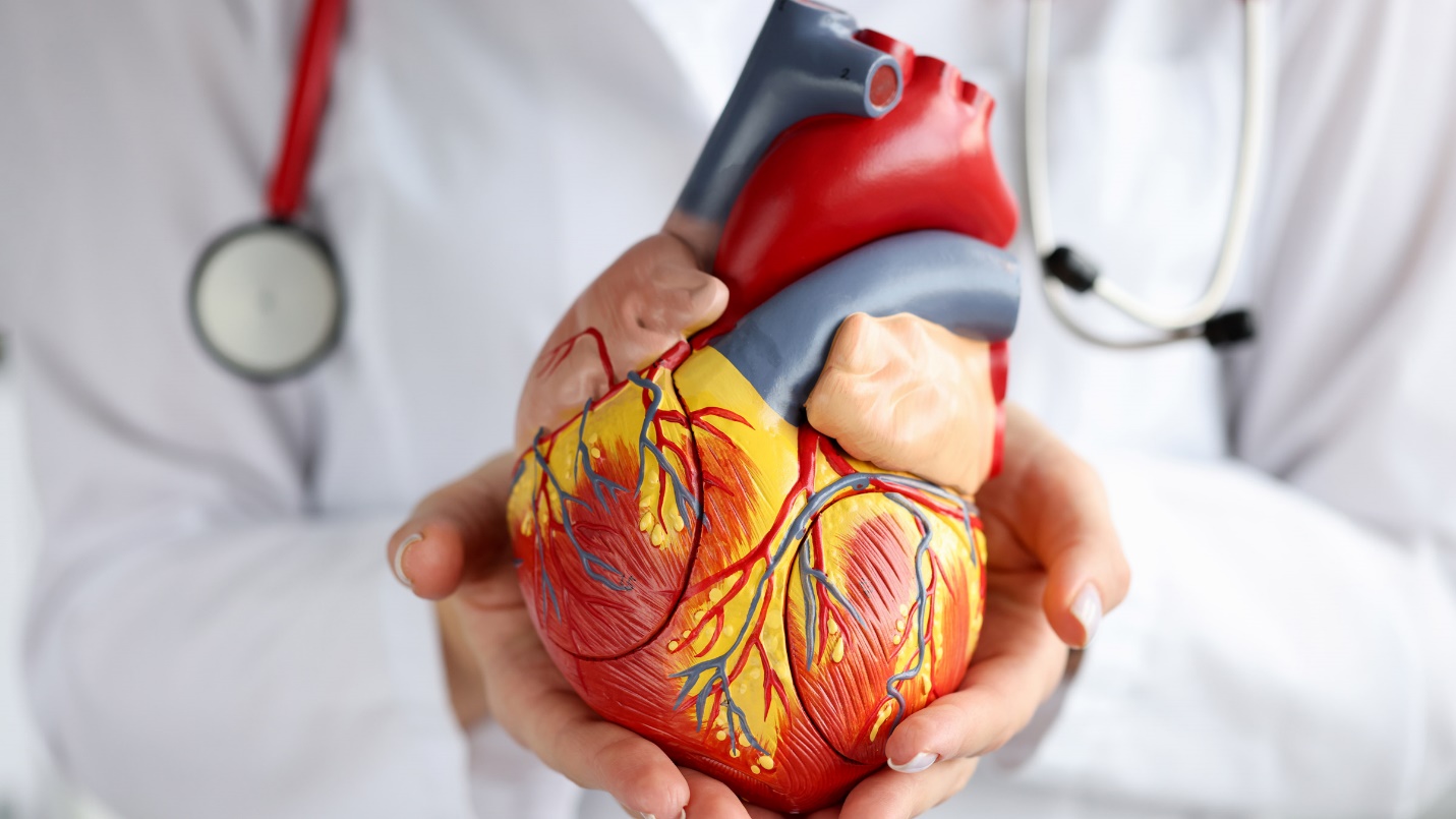  چکاب قلب و عروق را جدی بگیرید: نشانه‌­های اولیه حمله قلبی!
            