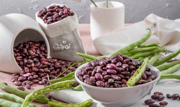 لوبیا چیتی ازبکستان؛ راهکار نوآورانه برای صنعت کنسروسازی ایران لوبیا چیتی ازبکستان؛ راهکار نوآورانه برای صنعت کنسروسازی ایران