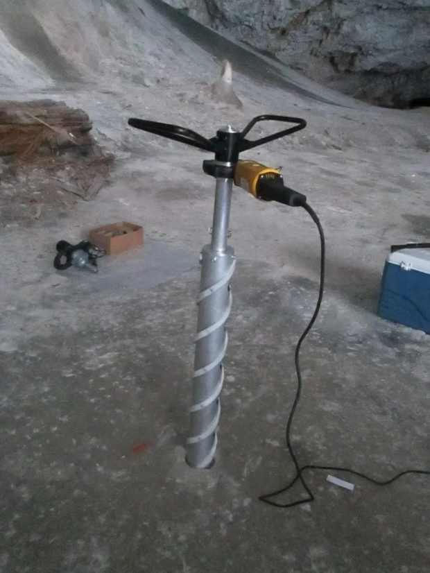 باکتری یخزده