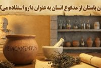 رومیان باستان از مدفوع انسان به عنوان دارو استفاده می‌کردند