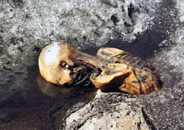 نشانههایی از حیات در بدن مرد یخی 5300 ساله