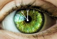 ساعت بیولوژیکی جدید می‌تواند زمان تقریبی مرگ را پیش‌بینی کند