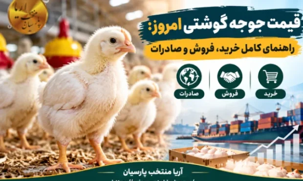 قیمت جوجه گوشتی امروز: راهنمای کامل خرید، فروش و صادرات قیمت جوجه گوشتی امروز: راهنمای کامل خرید، فروش و صادرات